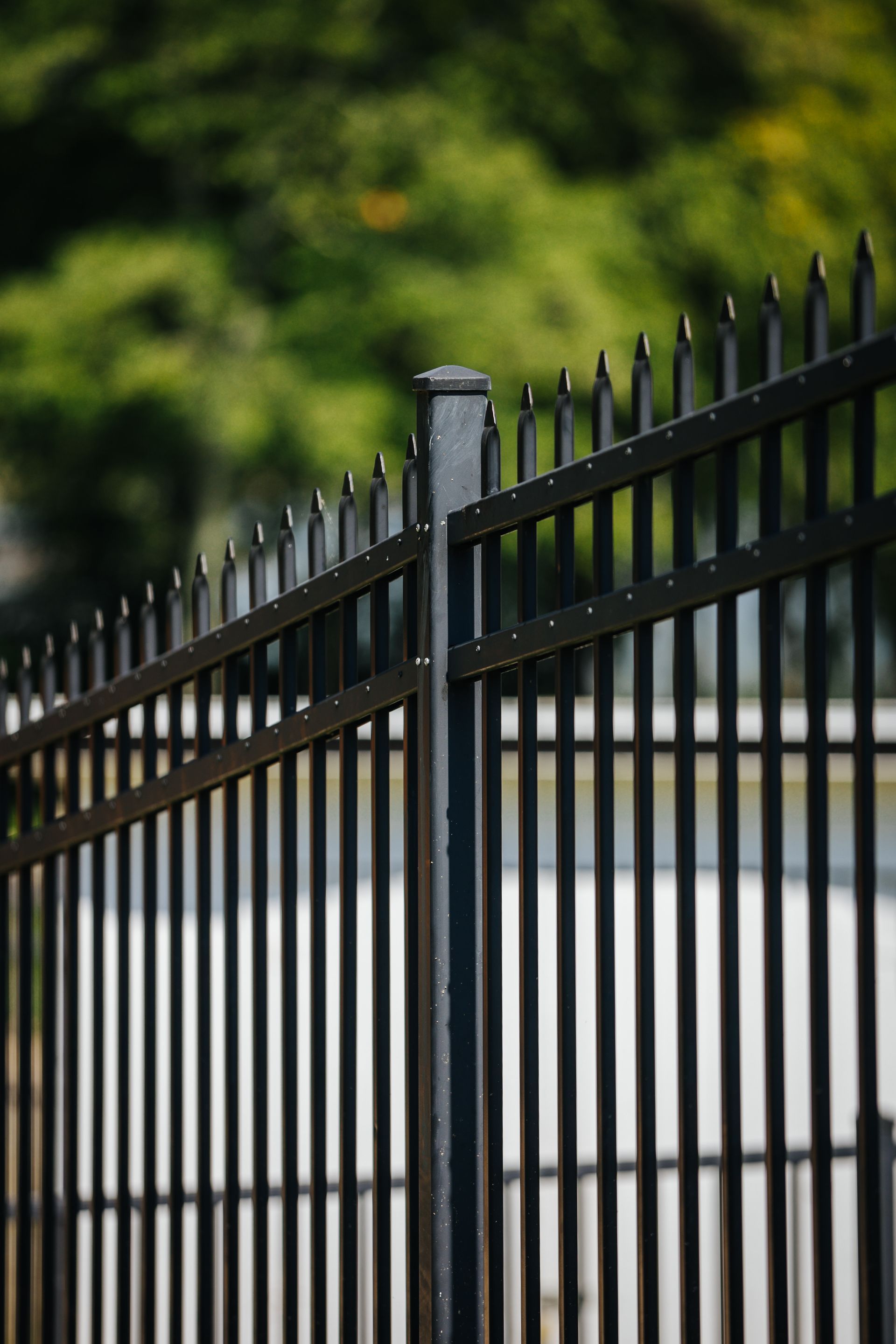 A close up of a black metal fence with trees in the background.