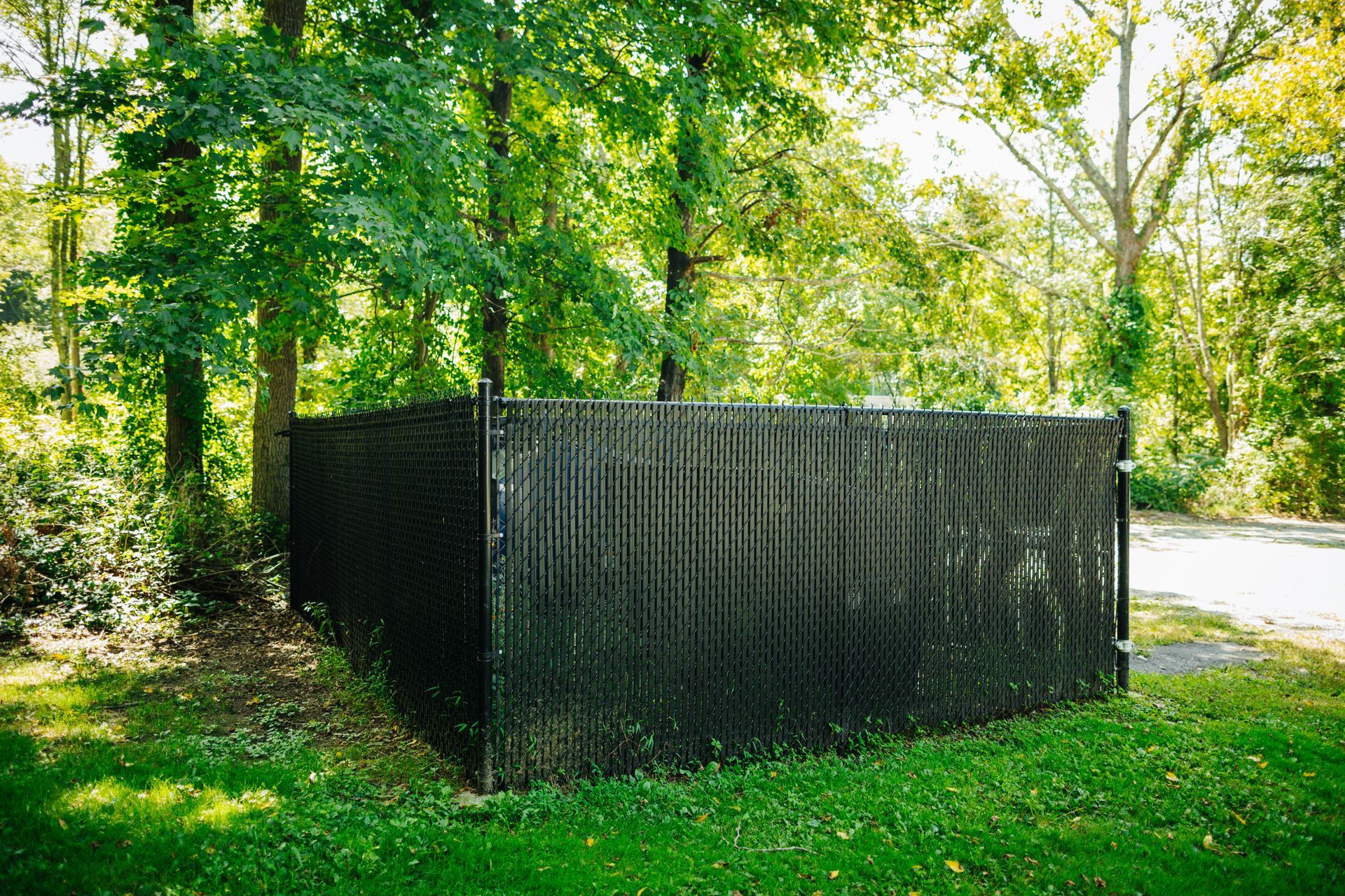 A black chain link fence is surrounded by trees in a park.
