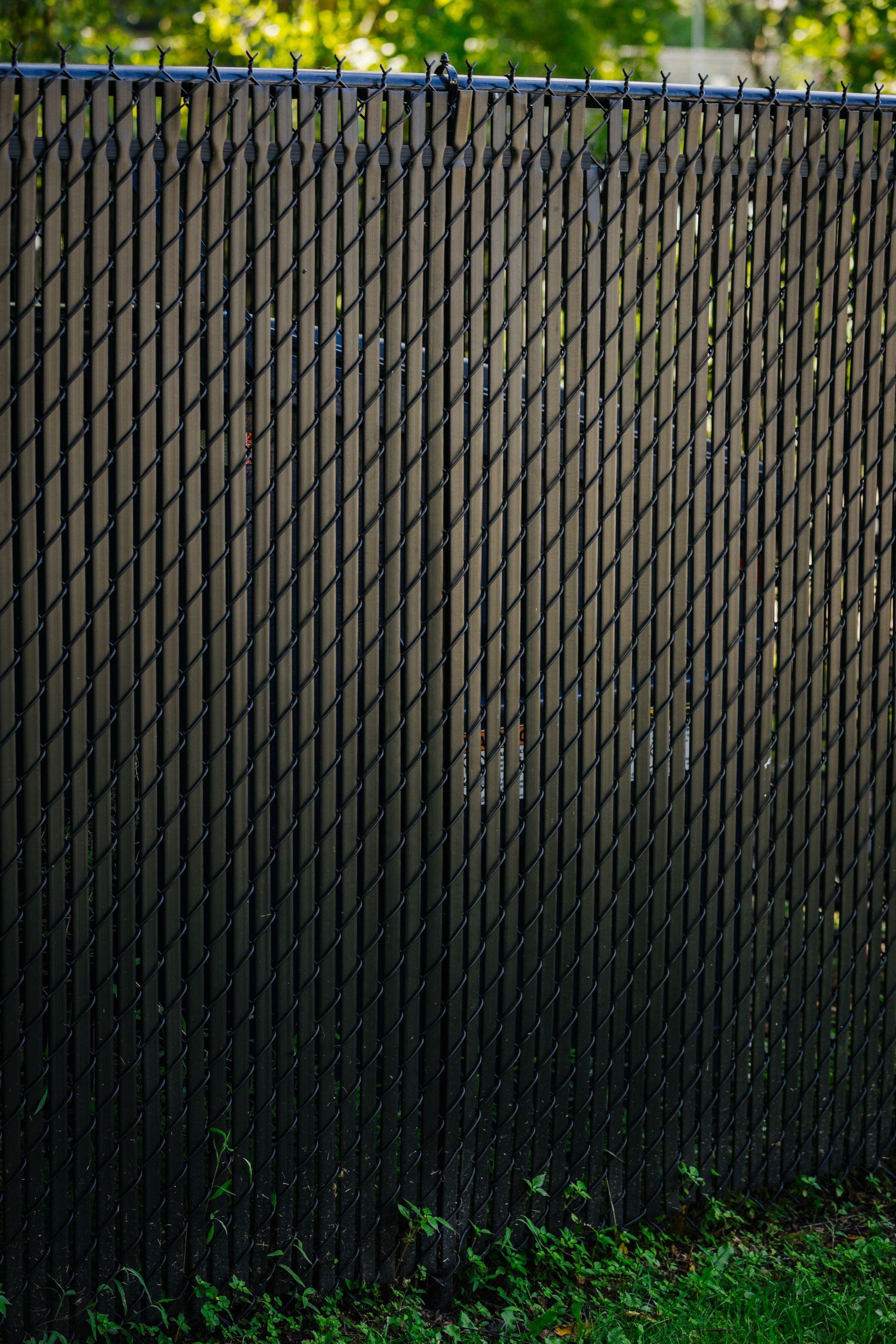 A black chain link fence is surrounded by grass and trees.