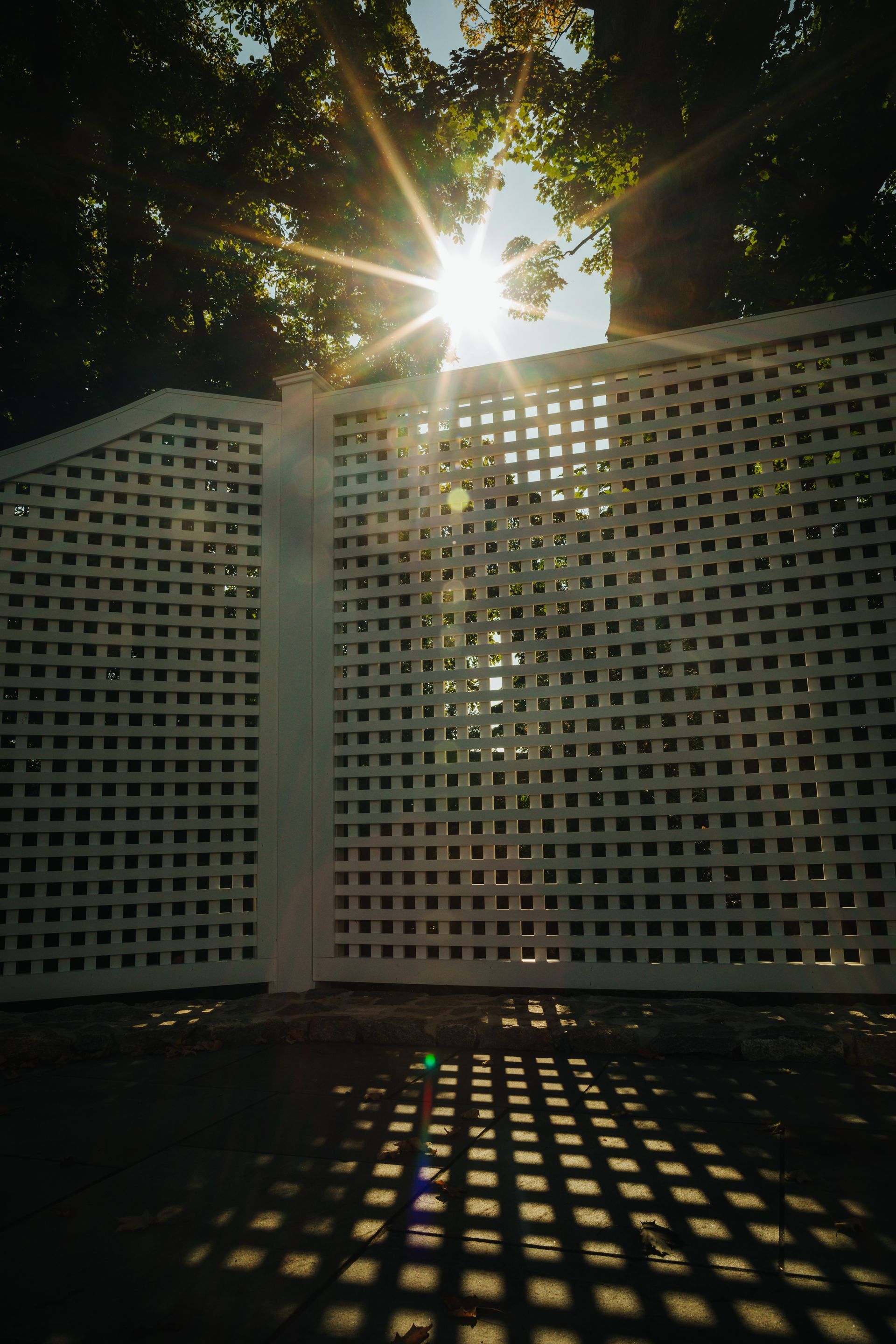 The sun is shining through the trees behind a white lattice fence.