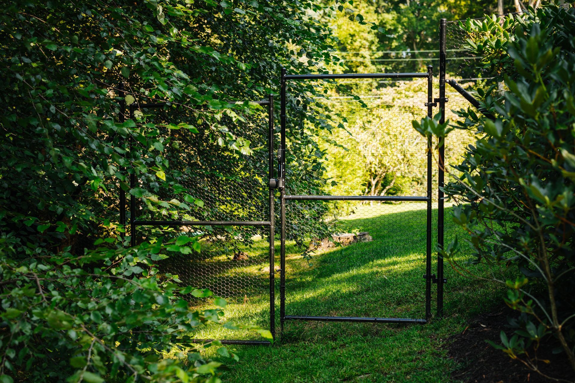 A metal gate in the middle of a lush green field surrounded by trees.