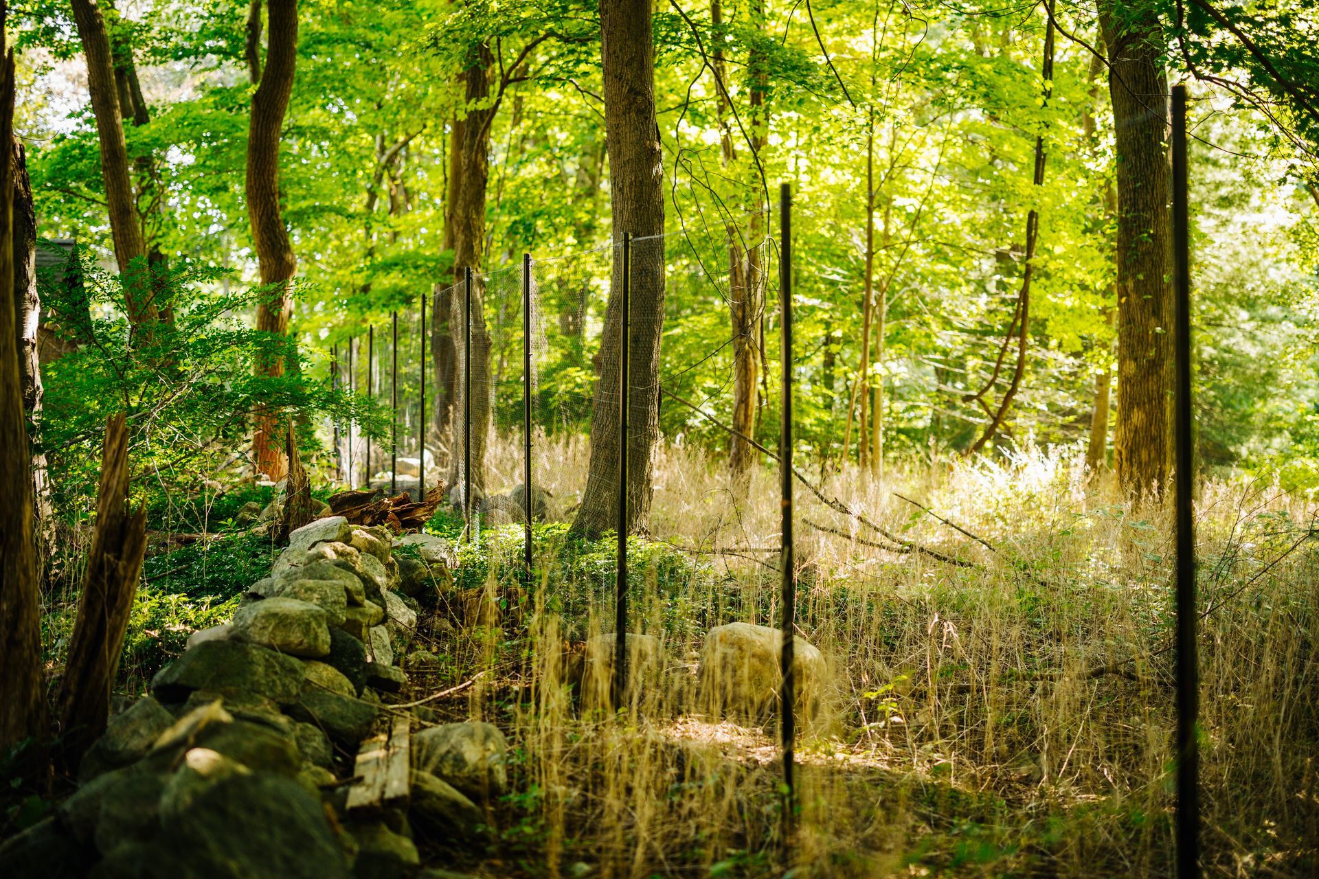 There is a stone wall in the middle of the woods.