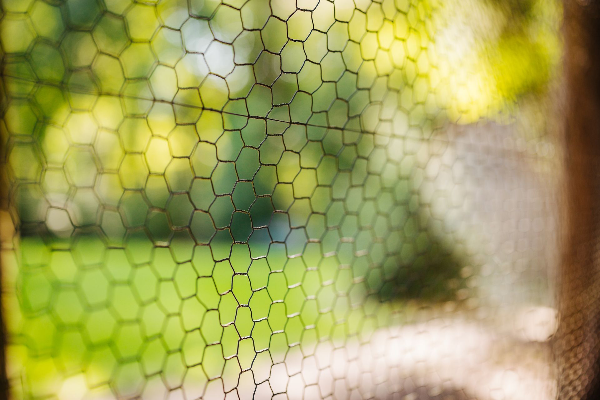 A close up of a chicken wire fence with a blurry background.