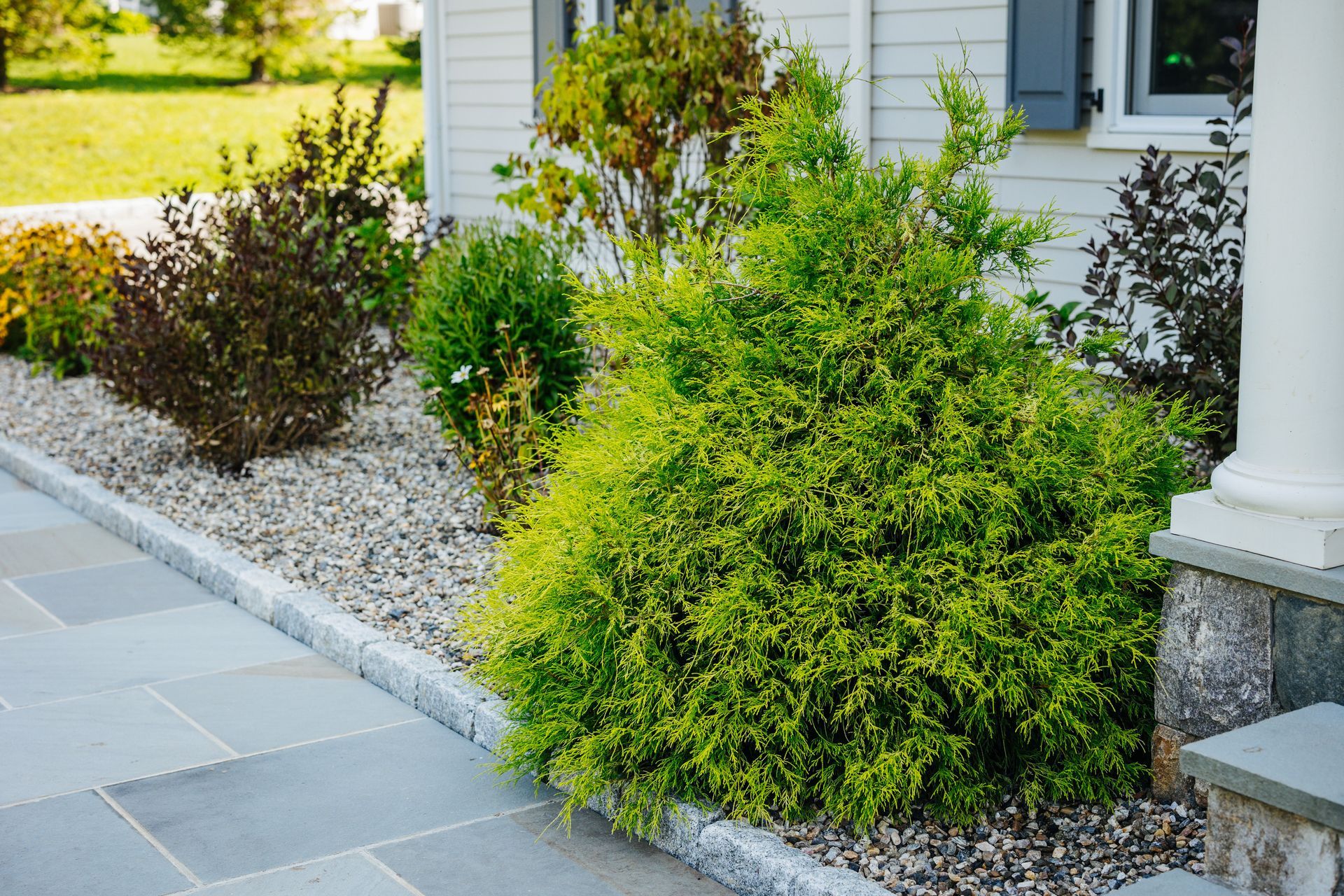 A white house with a stone walkway and bushes in front of it.