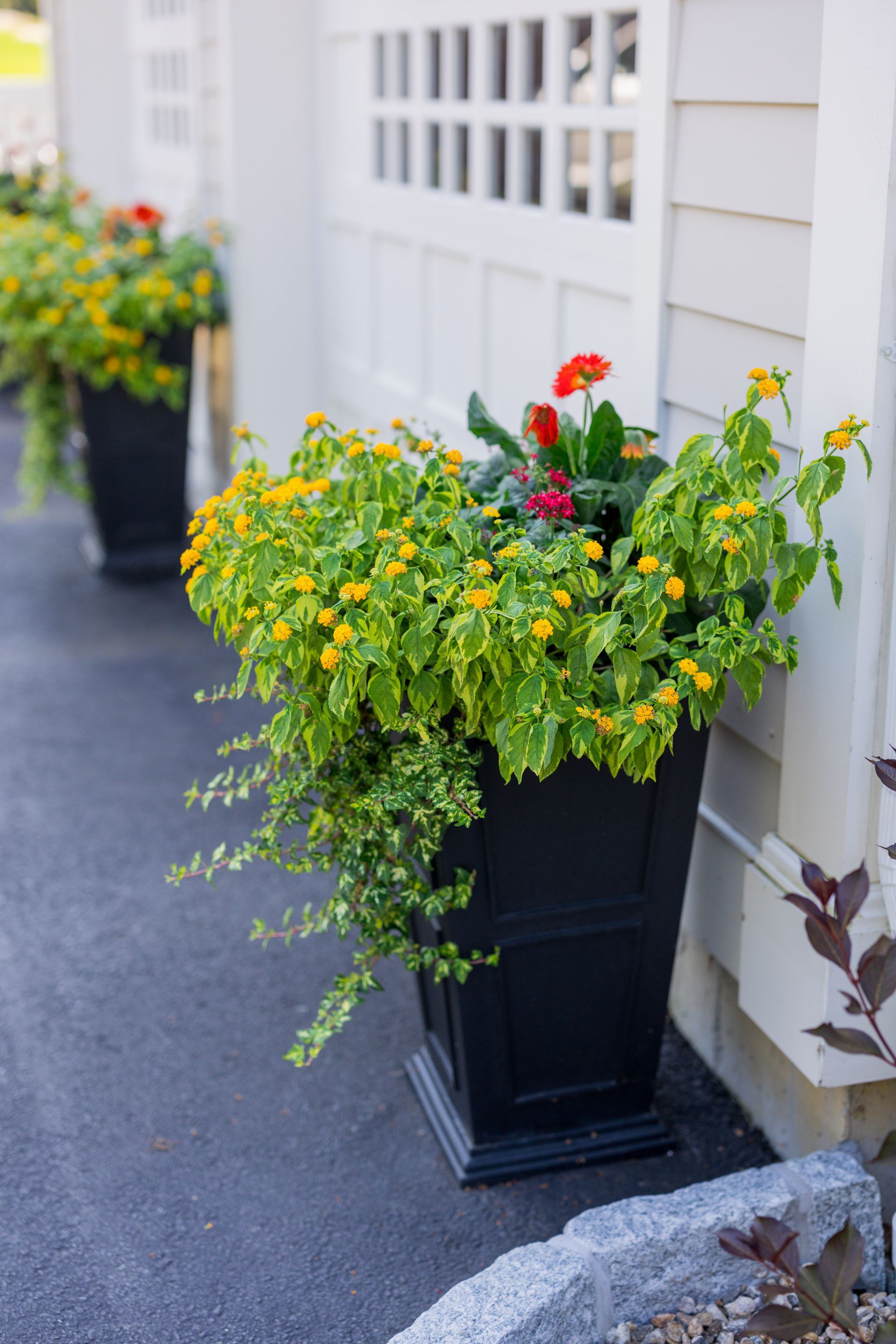 A black planter filled with yellow and red flowers