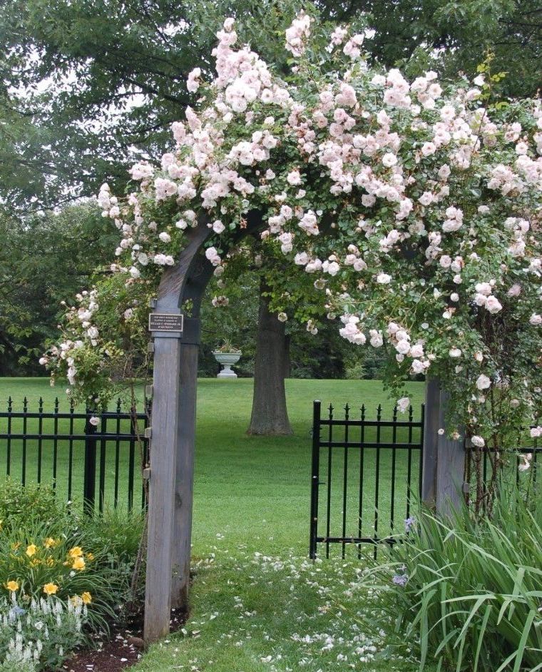 A wooden archway with pink flowers and a black fence