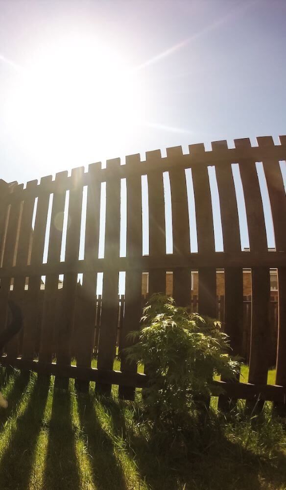 The sun is shining through a wooden fence