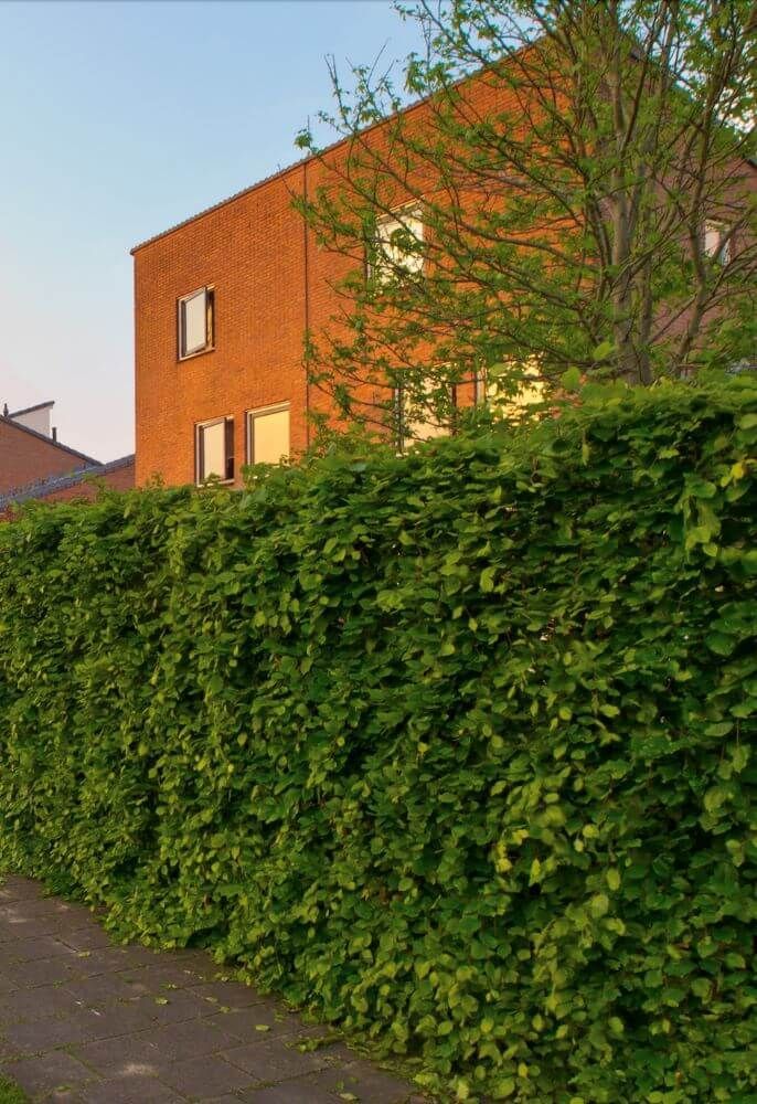 A brick building with a hedge in front of it