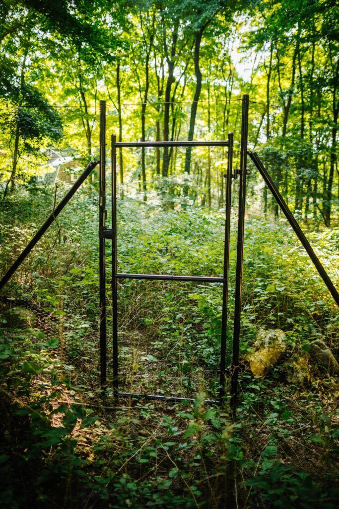 A metal gate in the middle of a forest.