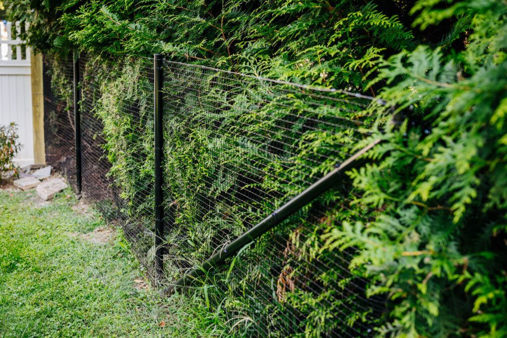 A chain link fence surrounded by trees in a backyard.