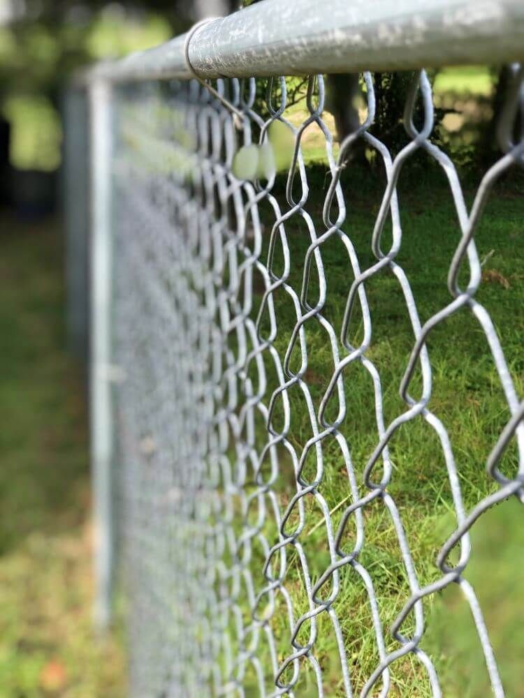 A close up of a chain link fence in a park.