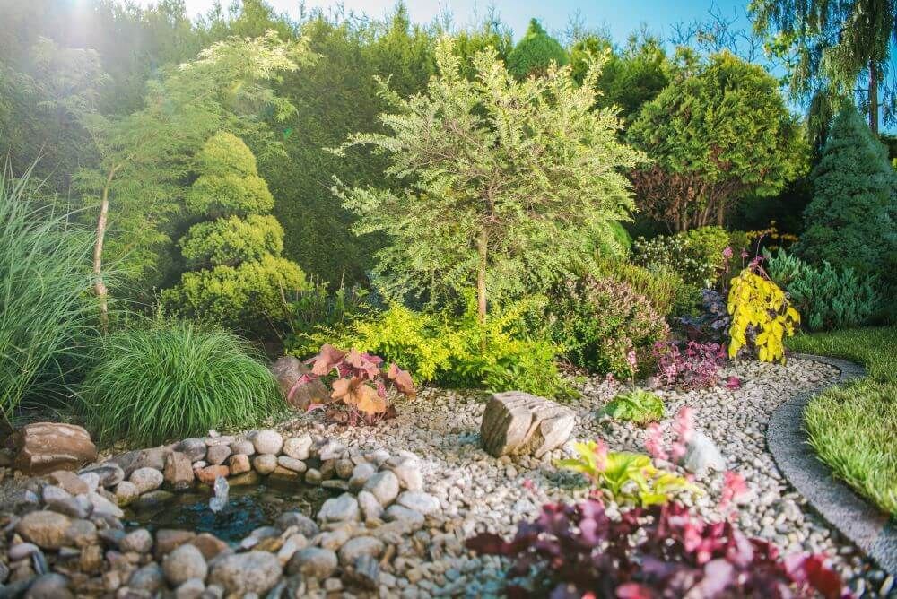 There is a pond in the middle of the garden surrounded by trees.