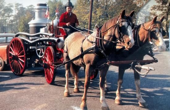 A man is driving a horse drawn carriage down a street