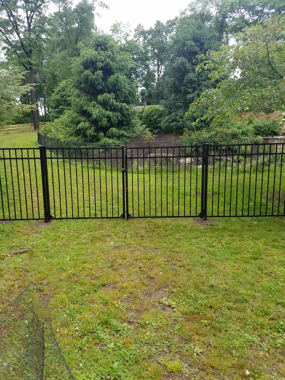 A black fence surrounds a lush green yard with trees in the background.