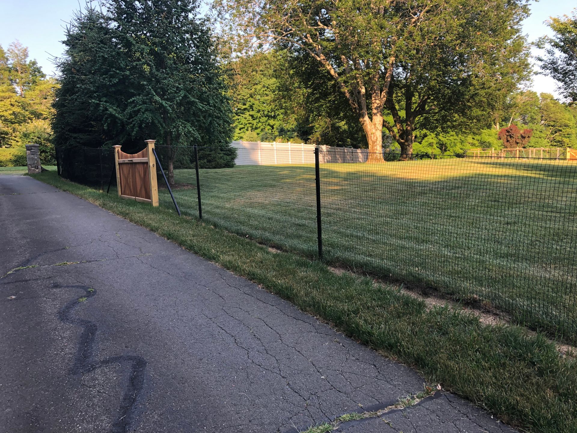 A fence surrounds a grassy field next to a road.