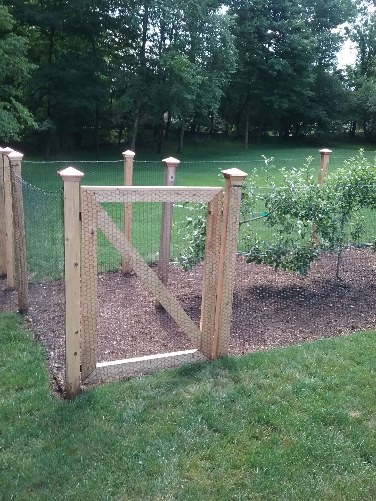A wooden gate is sitting in the middle of a lush green field.