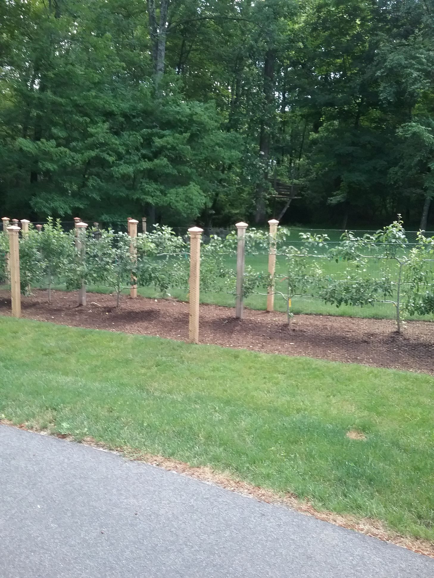 A wooden fence surrounds a lush green field with trees in the background.