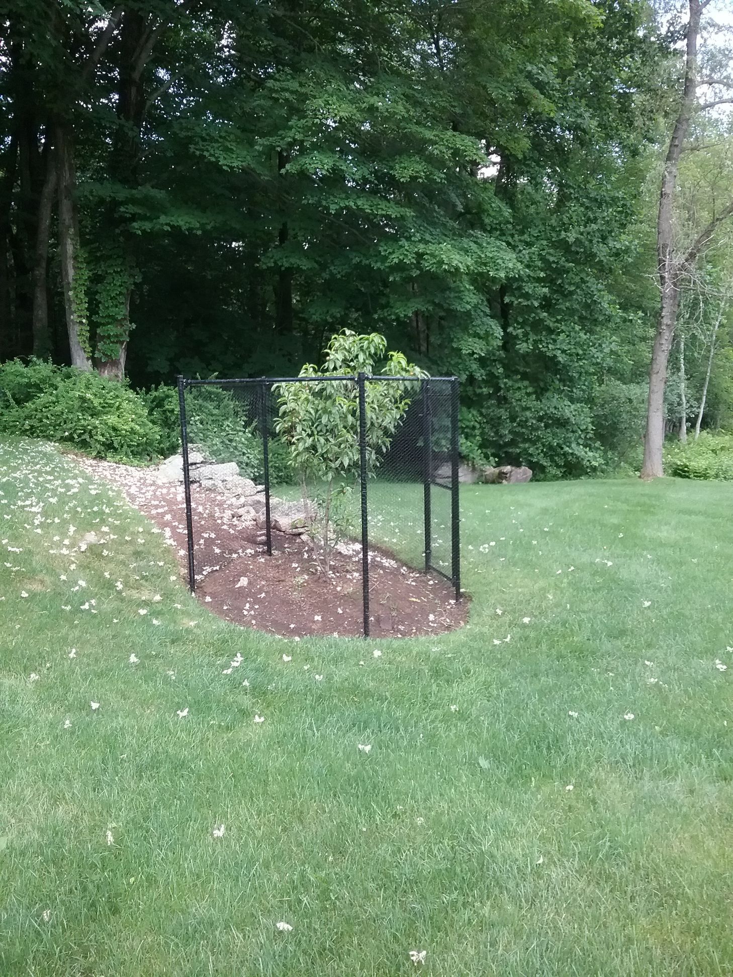 A fence is sitting in the middle of a lush green field.