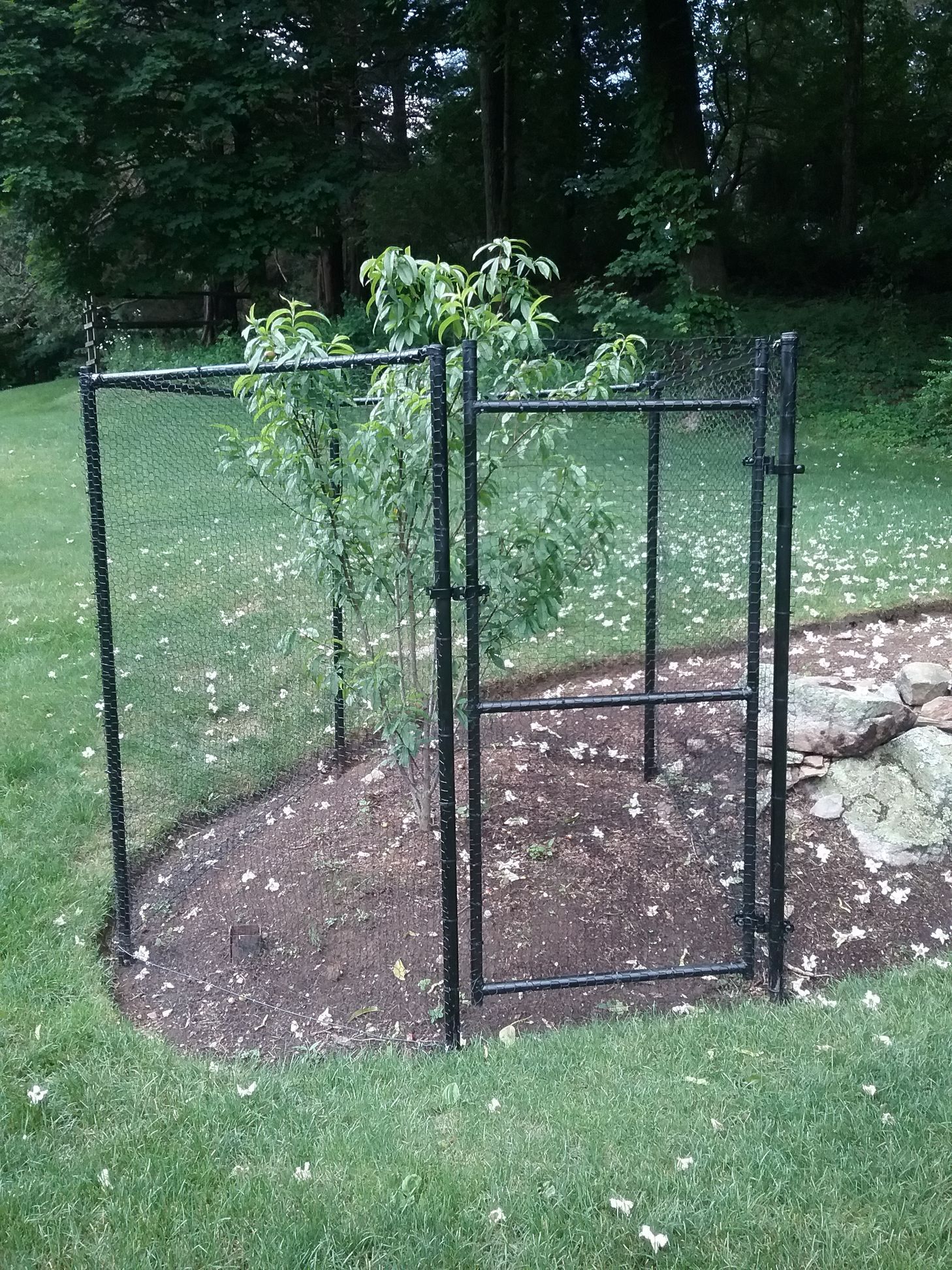 A black gate is sitting in the middle of a lush green yard.