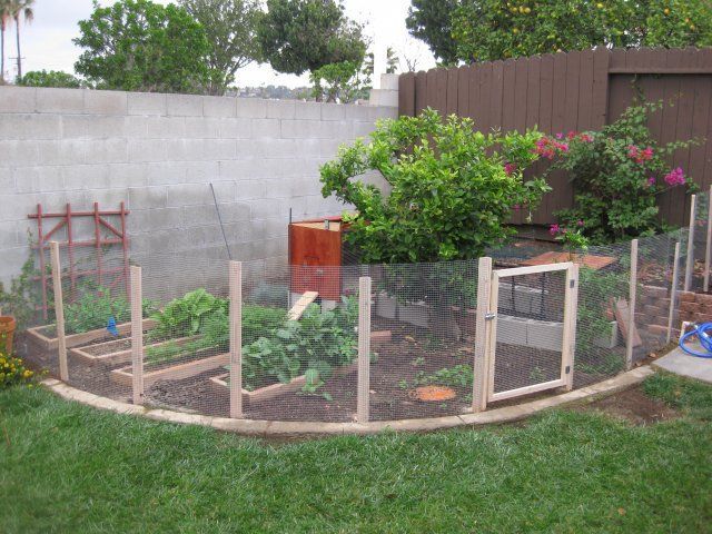 A garden with a fence and a barrel in the background