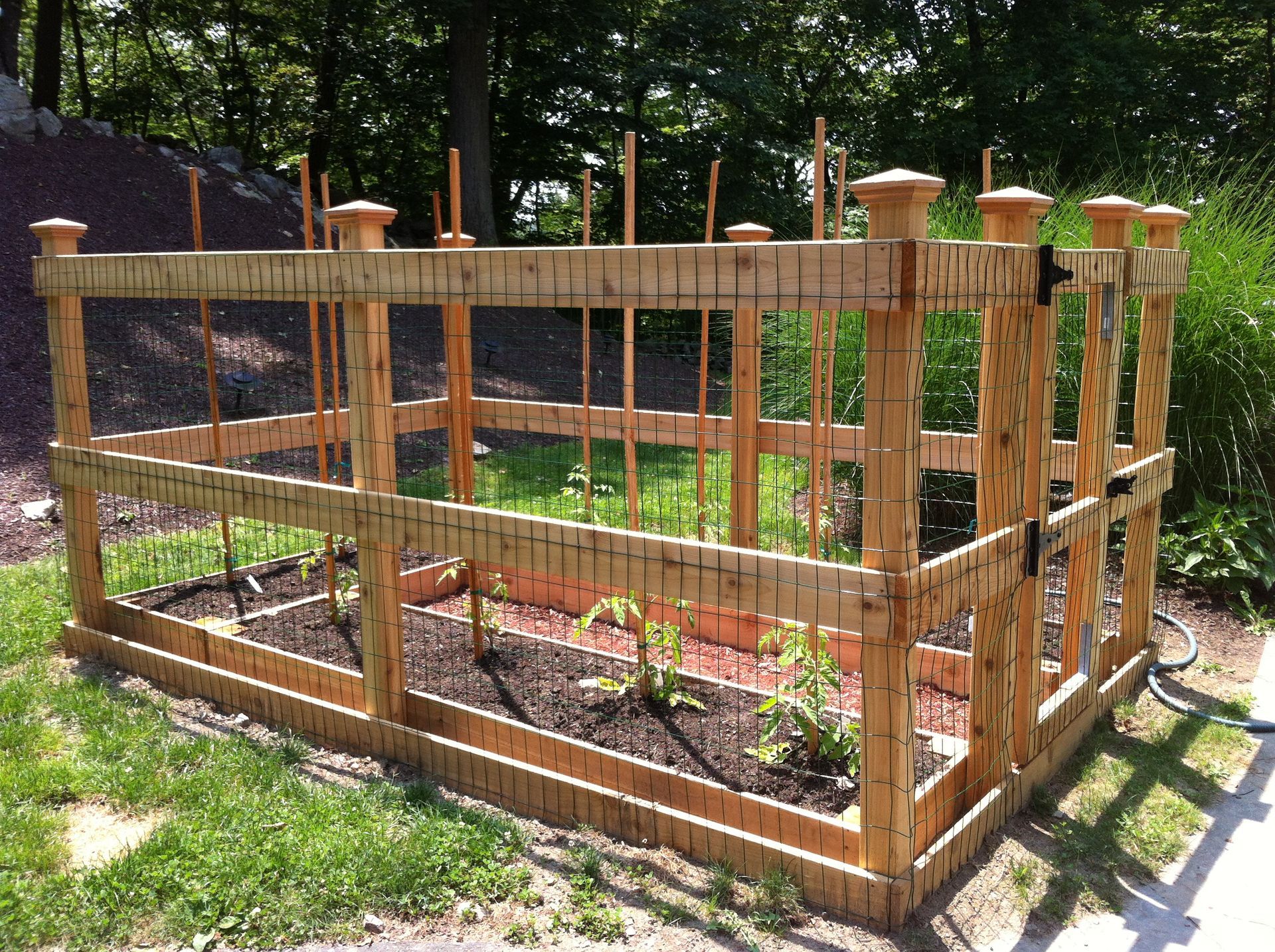 A wooden fence surrounds a garden filled with plants.