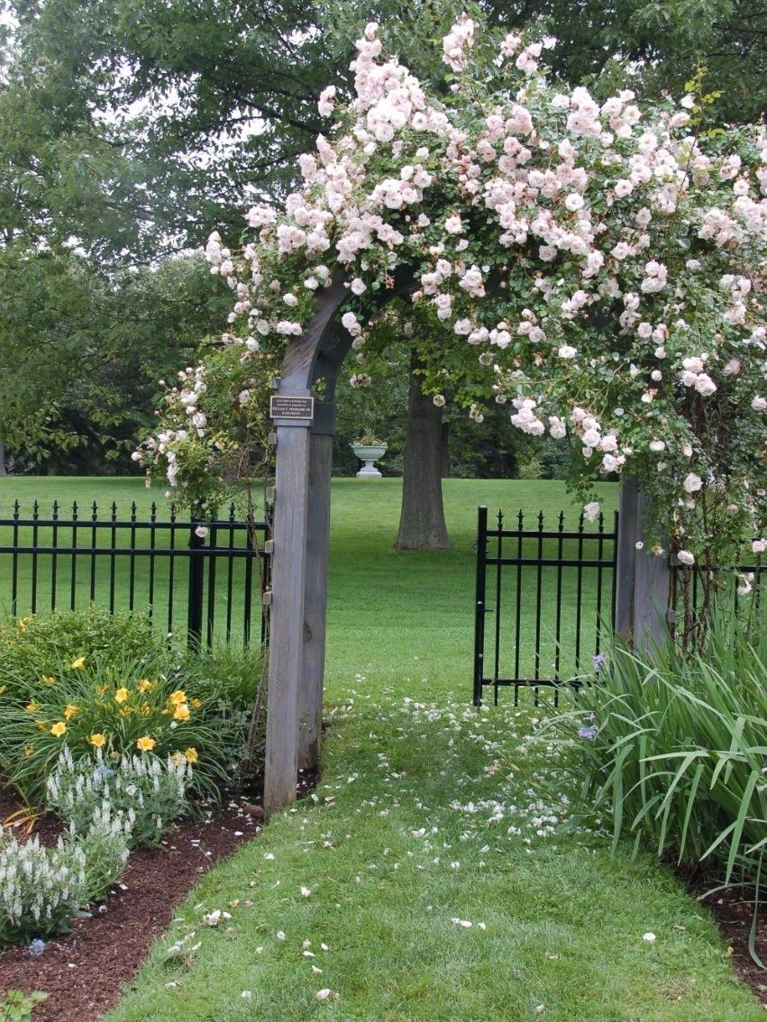 A wood fence with a gate and an arbor in the middle of it