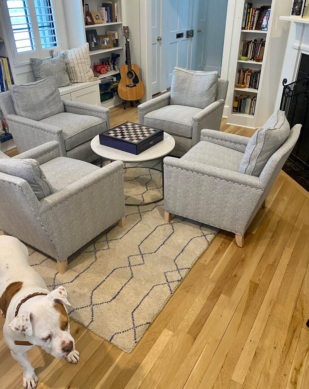 A dog is standing in a living room filled with furniture and a guitar.