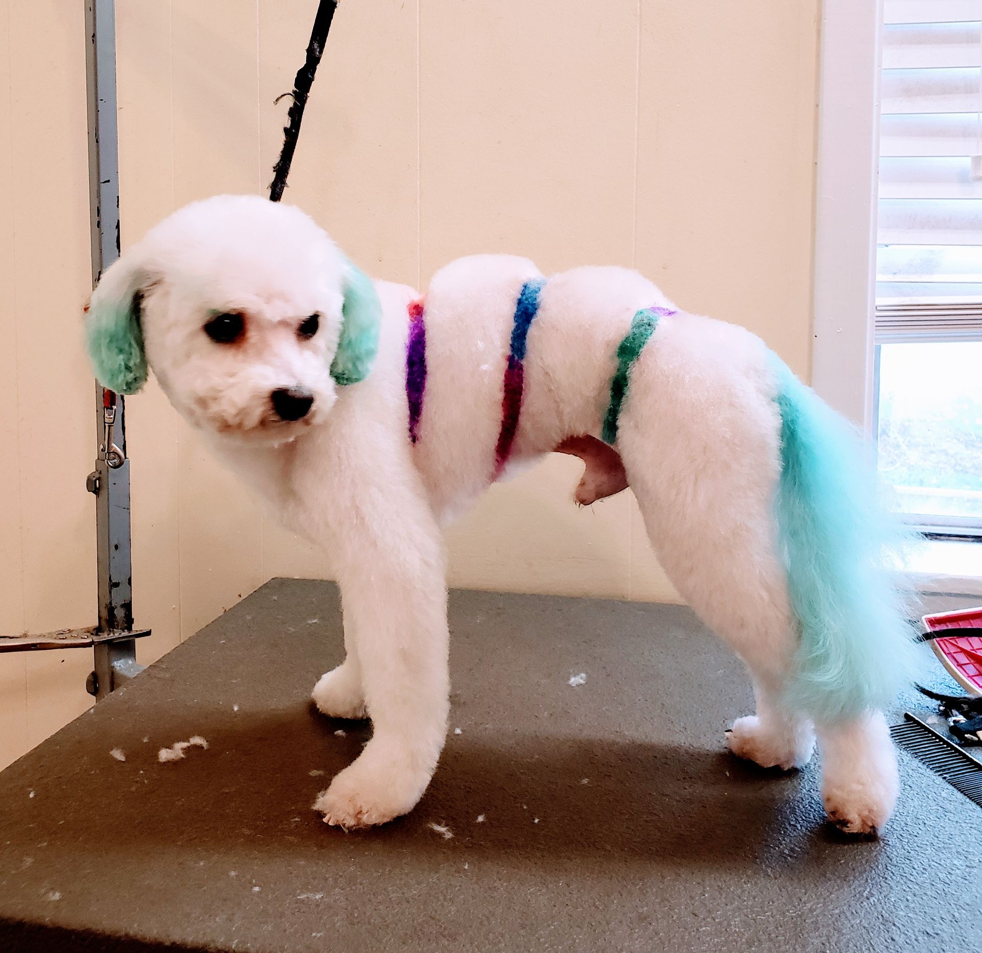 Grooming