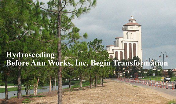 hydro seeding before