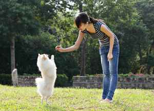 Woman training the dog