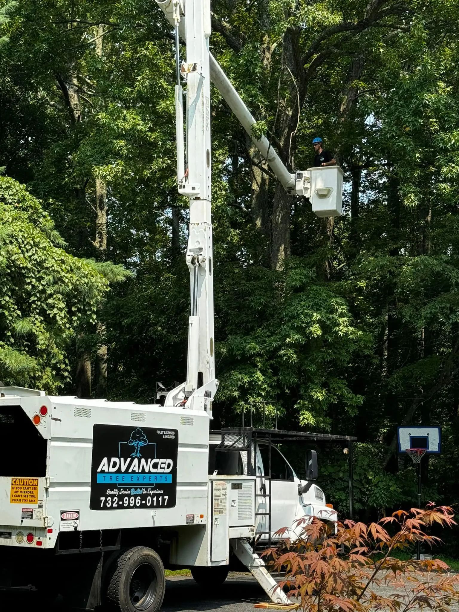 White tree service truck with extended lift arm trimming a tree in a residential yard.