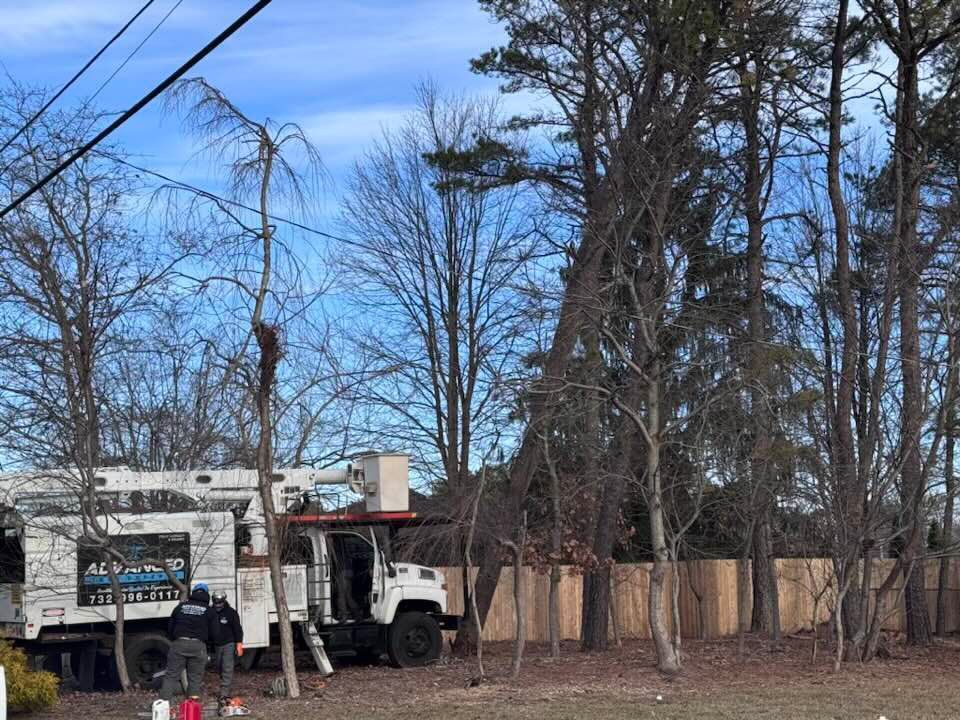 Truck with raised platform near trees. Two people near truck. Cloudy sky.