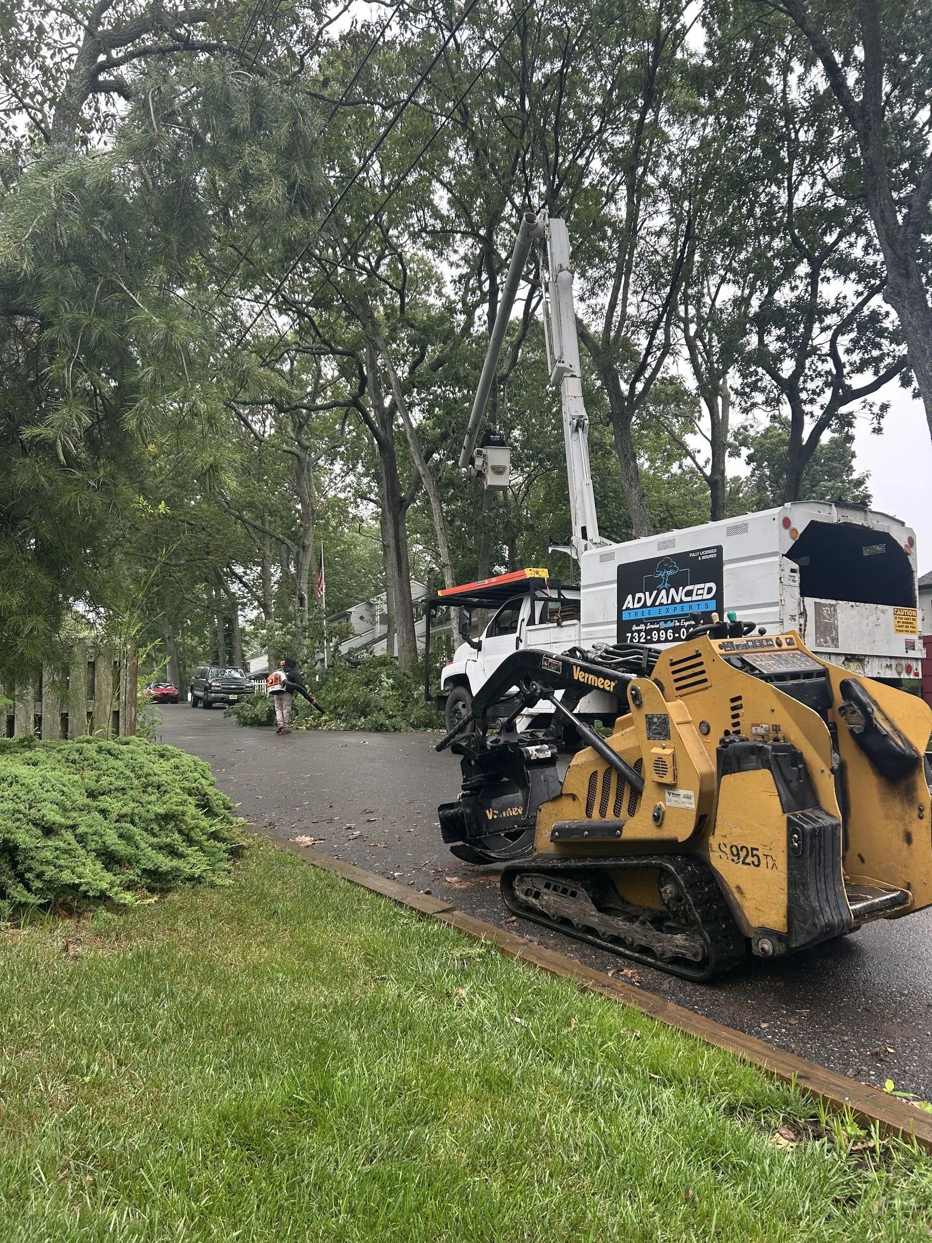 Tree trimming, tree service truck with boom extended, skid steer, worker, branches on street.