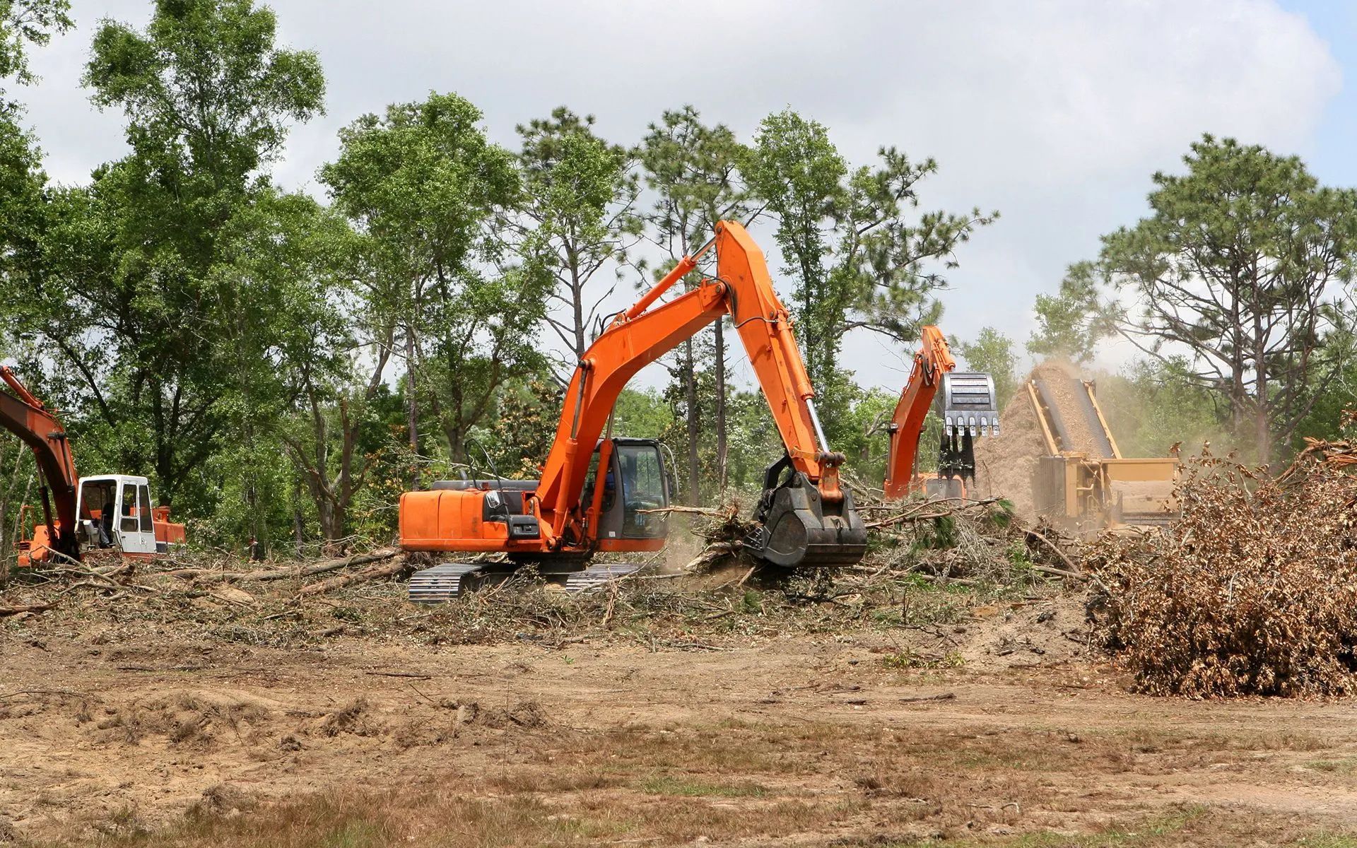 Orange excavators clearing trees in a forest.