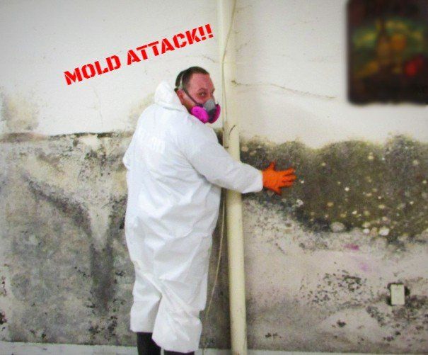 A person in a protective suit inspects a mold-covered wall. The wall is stained black and gray, with the words