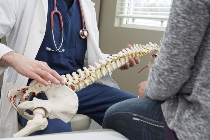 Doctor showing a spine model to a patient in an examination room.