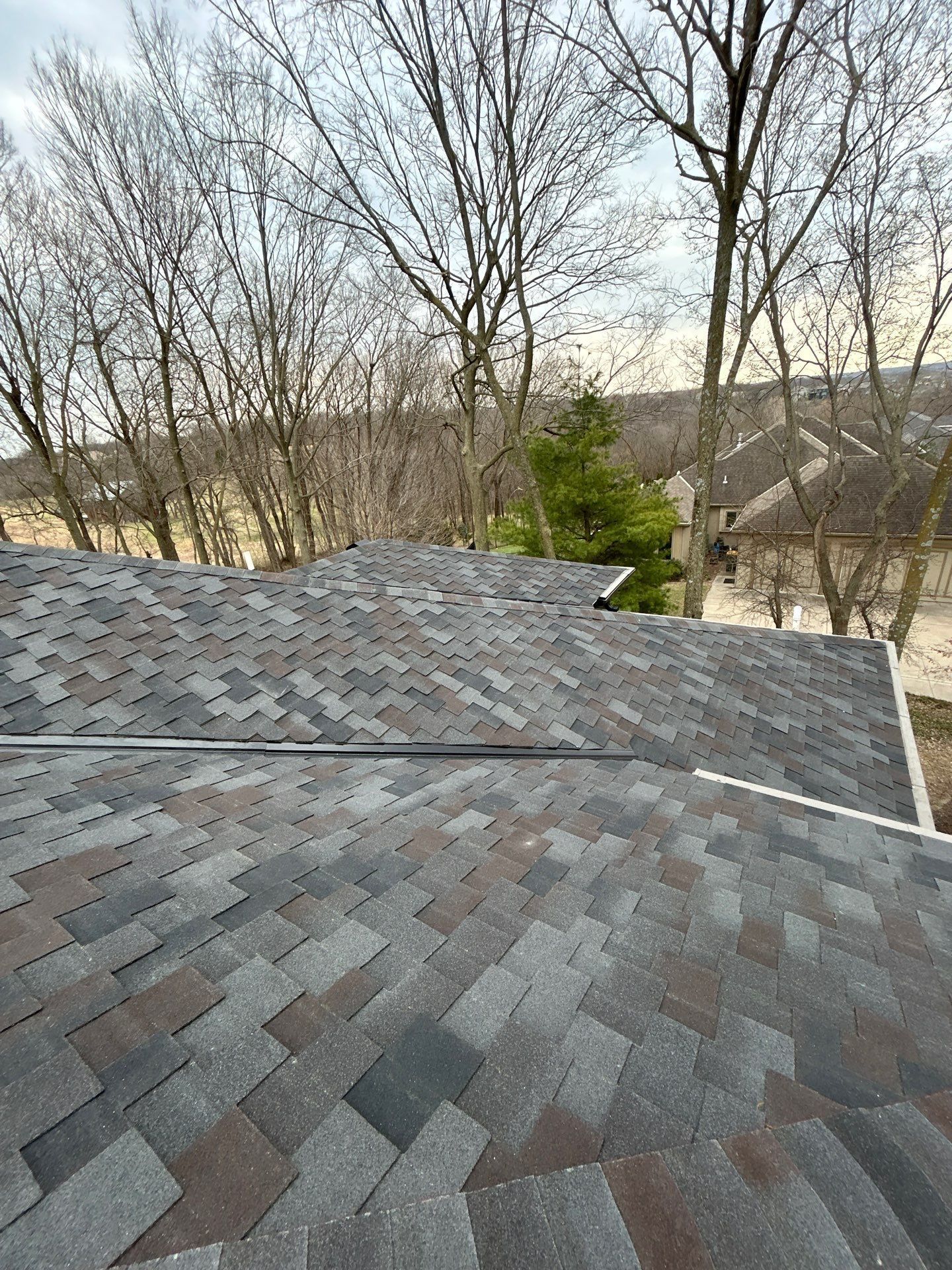 A high-angle view looking down at a gray, multi-toned shingled roof with bare trees in the background under a cloudy sky.