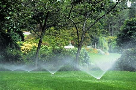 A row of sprinklers spraying water on a lush green lawn.