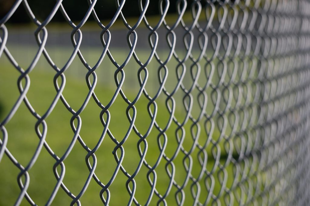Chain-link fence, gray wire, diamond pattern, blurred green background.