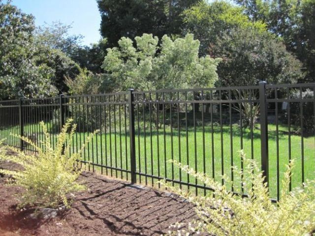 Black metal fence encloses a grassy backyard with trees. Brown mulch and green bushes line the fence.