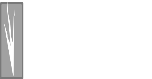 Affiniti Day Spa and Salon logo