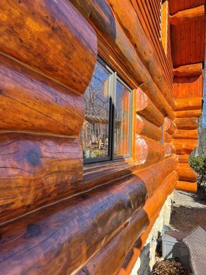 Close-up of a log cabin exterior, showcasing stained wooden logs and a window reflecting a forest.