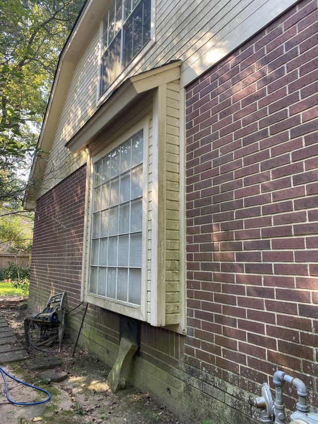 Exterior Cleaning