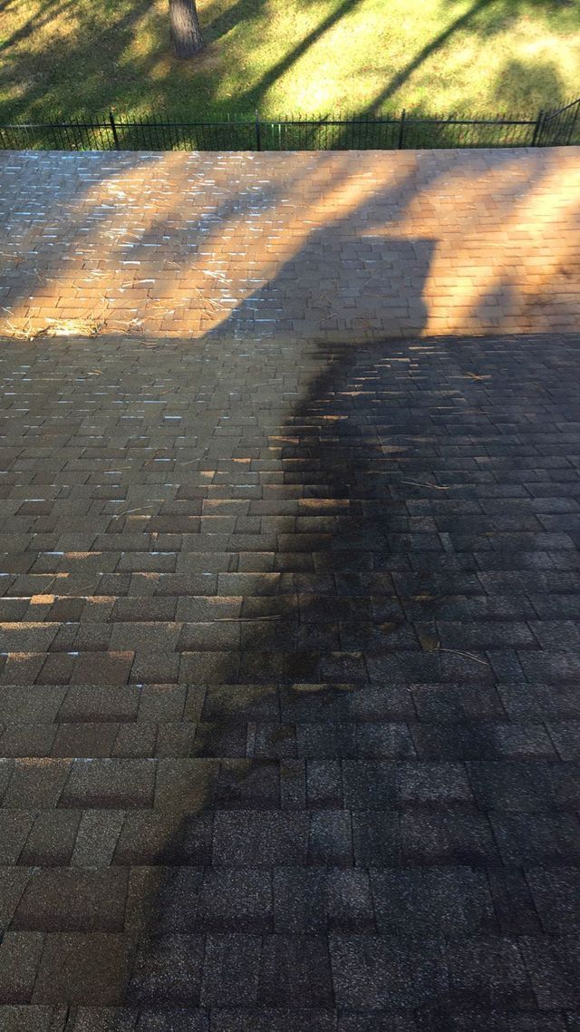 Exterior Cleaning