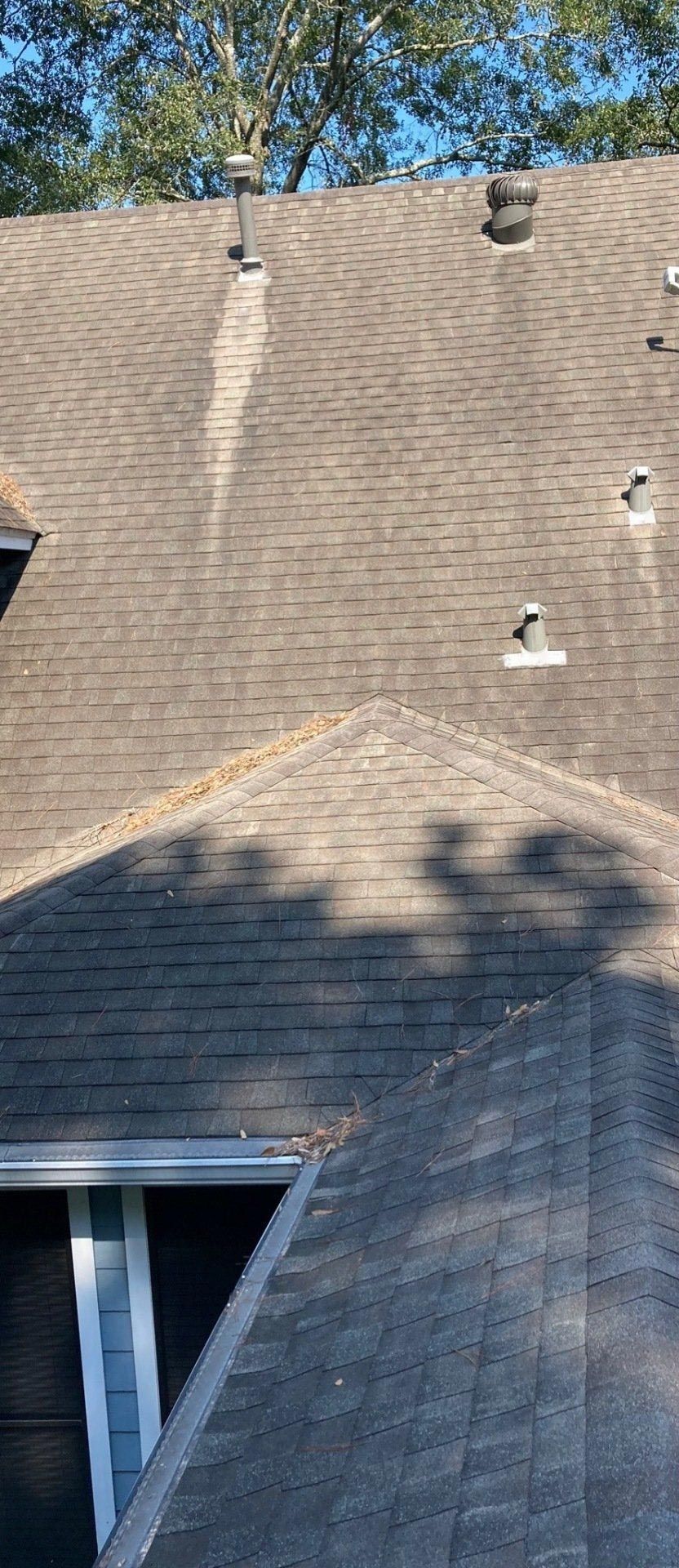 Residential Roof Cleaning