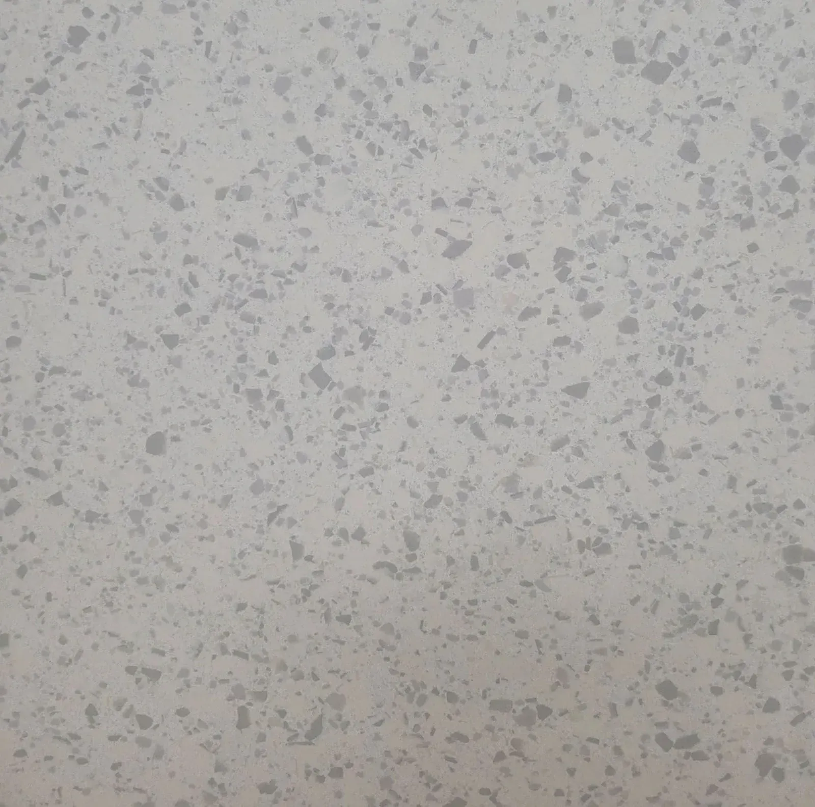 Gray speckled textured surface with small scattered dark and light spots