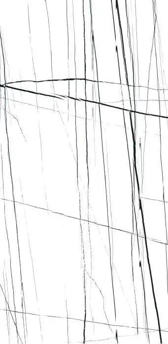 Abstract black lines on a white background, resembling a close-up sketch or texture pattern