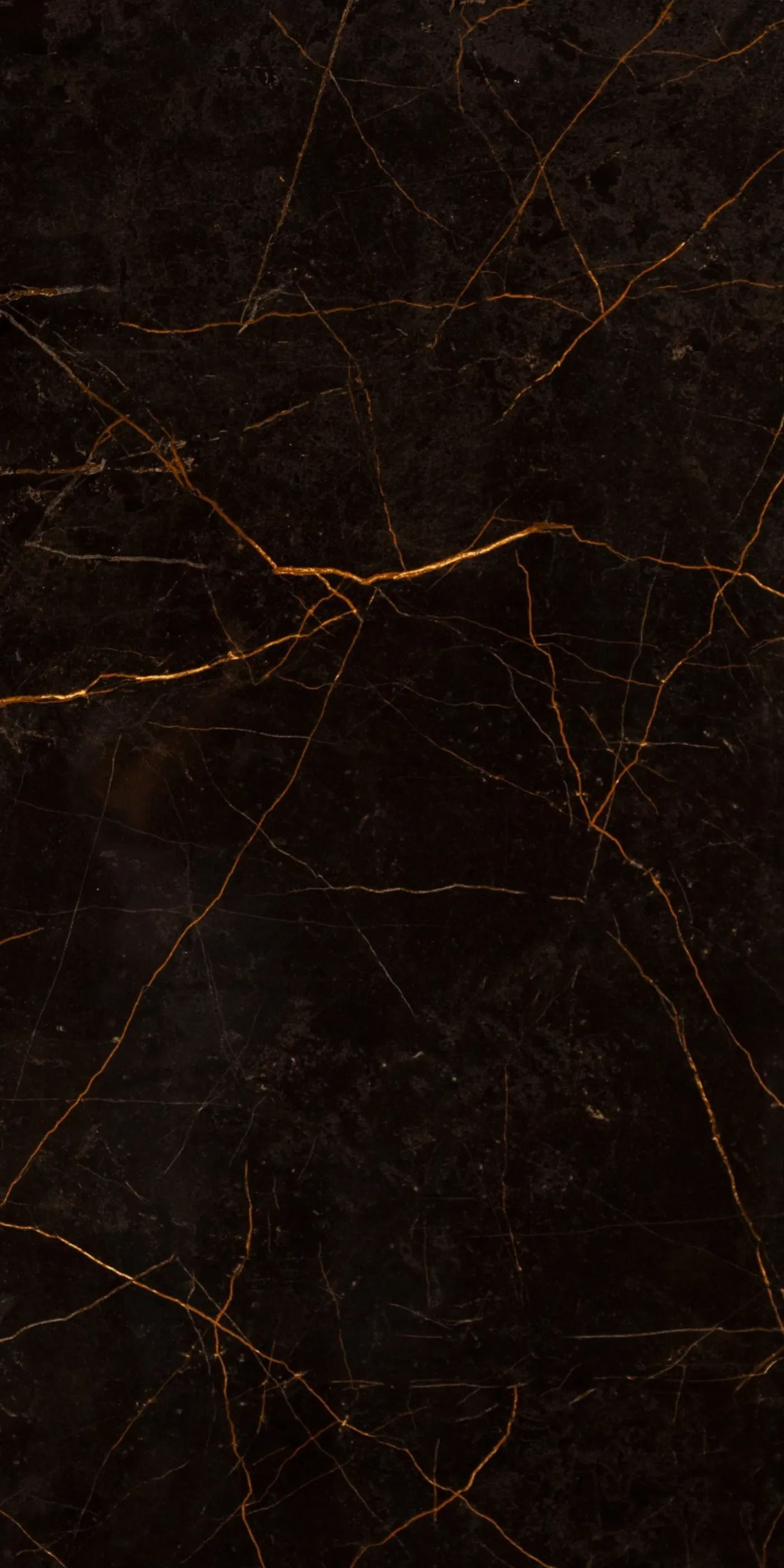 Dark cracked surface with thin orange-brown vein-like lines.