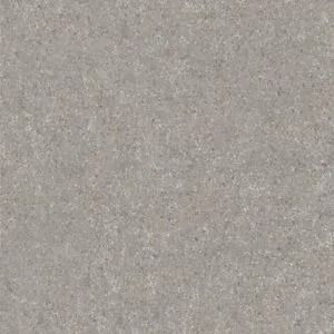 Gray speckled textured surface with a subtle grainy pattern