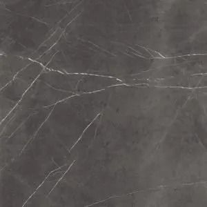 Gray marble surface with thin white veins.